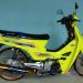 Modif by Denox Race-Aktualisasi Rookies Thailook Style
