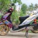 Mio Soul-Sukses Upgrade Baby Look Style Proficient